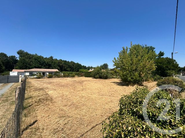 terrain à vendre - 925.0 m2 - VENSAC - 33 - AQUITAINE - Century 21 Les Pins De L'Océan