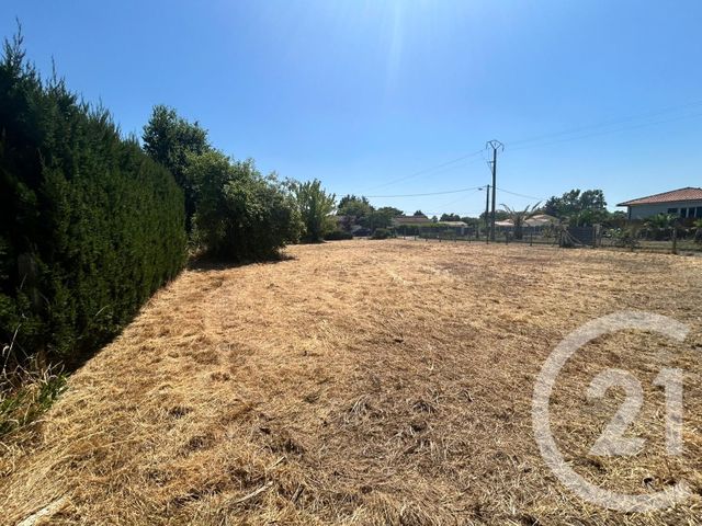 terrain à vendre - 925.0 m2 - VENSAC - 33 - AQUITAINE - Century 21 Les Pins De L'Océan