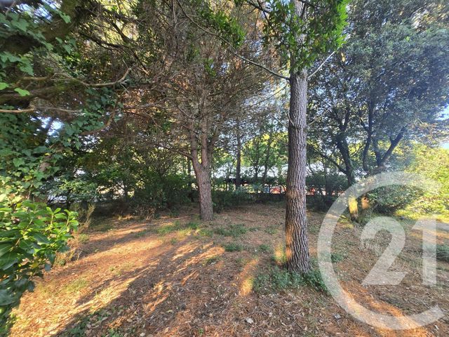 terrain à vendre - 550.0 m2 - VENDAYS MONTALIVET - 33 - AQUITAINE - Century 21 Les Pins De L'Océan