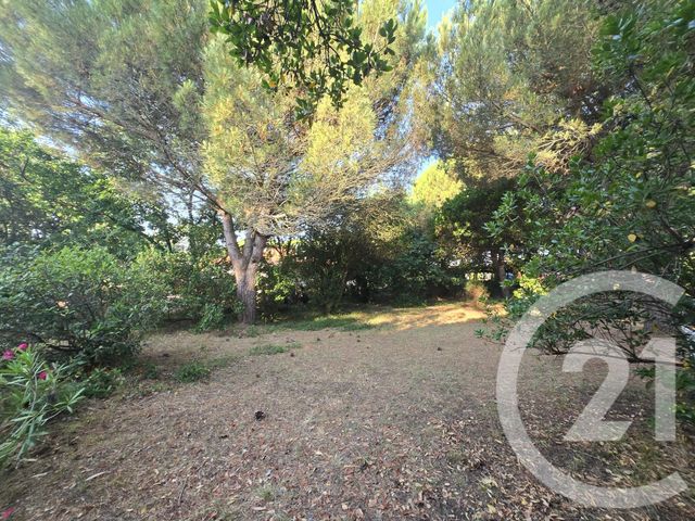 terrain à vendre - 550.0 m2 - VENDAYS MONTALIVET - 33 - AQUITAINE - Century 21 Les Pins De L'Océan
