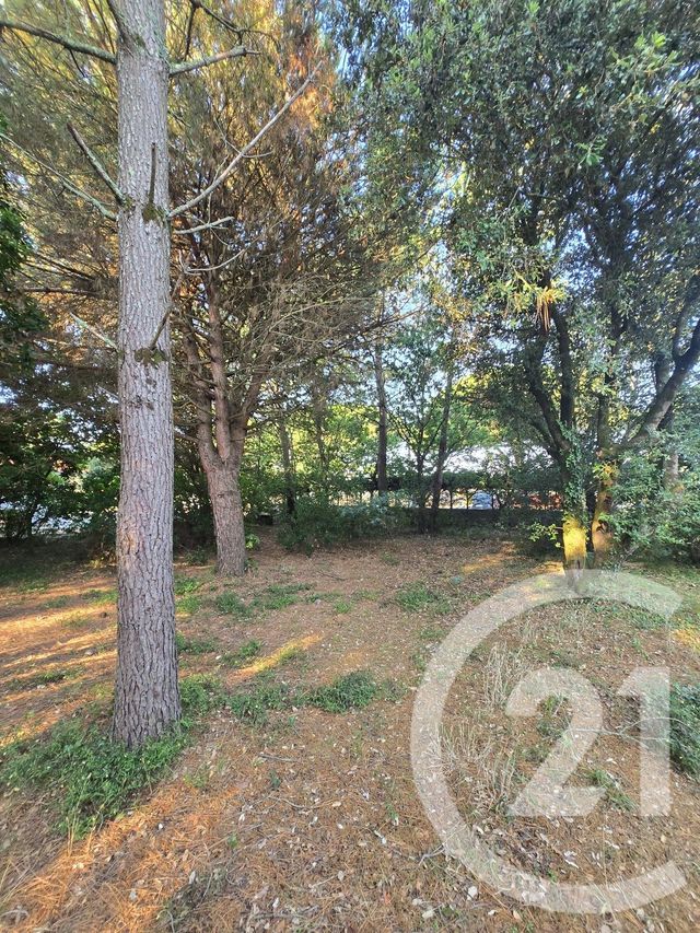 terrain à vendre - 550.0 m2 - VENDAYS MONTALIVET - 33 - AQUITAINE - Century 21 Les Pins De L'Océan