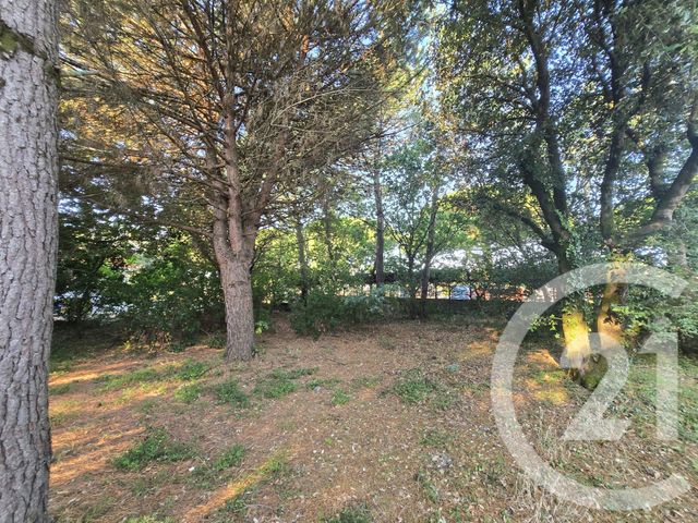 terrain à vendre - 550.0 m2 - VENDAYS MONTALIVET - 33 - AQUITAINE - Century 21 Les Pins De L'Océan