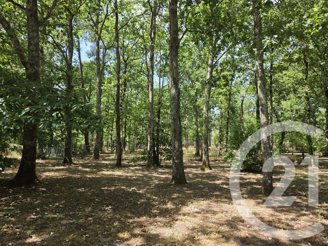 maison à vendre - 4 pièces - 90.0 m2 - VENSAC - 33 - AQUITAINE - Century 21 Les Pins De L'Océan