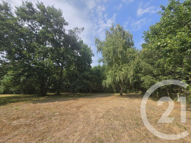 maison à vendre - 6 pièces - 124.0 m2 - VENSAC - 33 - AQUITAINE - Century 21 Les Pins De L'Océan